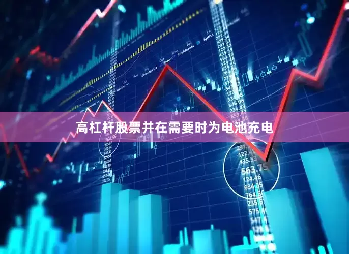 高杠杆股票并在需要时为电池充电