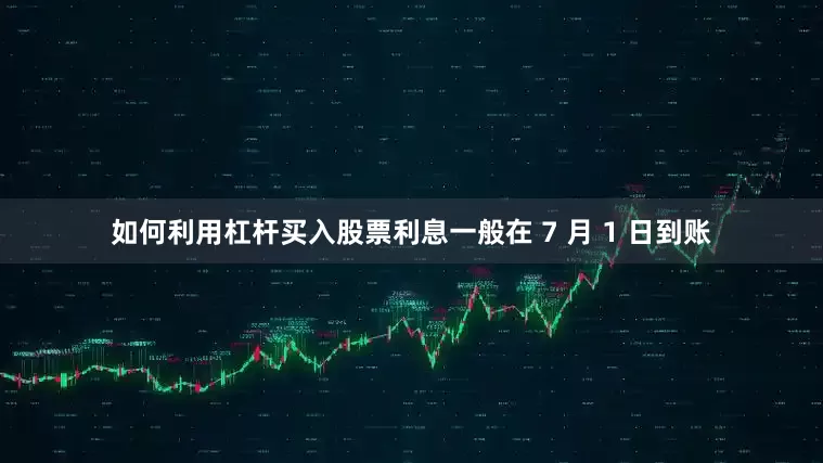 如何利用杠杆买入股票利息一般在 7 月 1 日到账