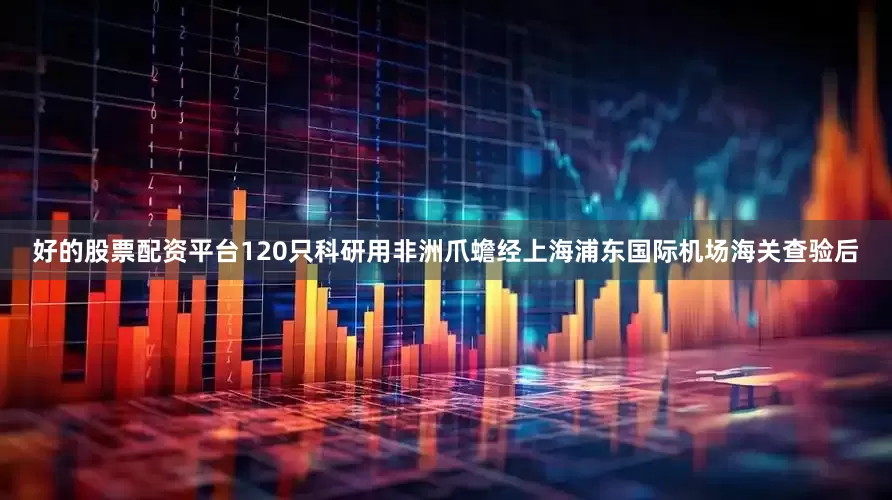 好的股票配资平台120只科研用非洲爪蟾经上海浦东国际机场海关查验后