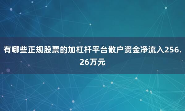 有哪些正规股票的加杠杆平台散户资金净流入256.26万元