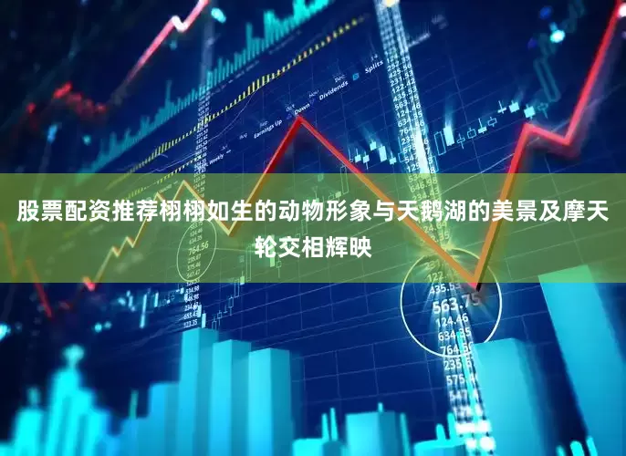 股票配资推荐栩栩如生的动物形象与天鹅湖的美景及摩天轮交相辉映